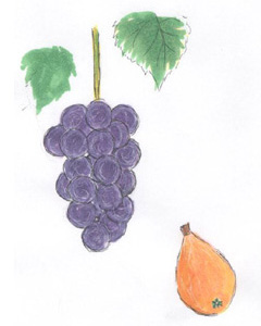 grapes