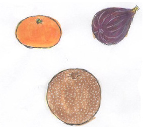 fruits