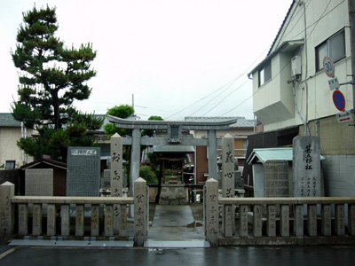 Jingoro-Matsu